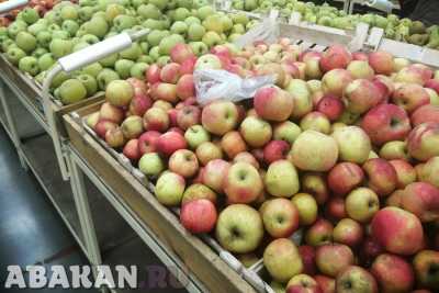 Инфляция в сентябре: лук, помидоры и яблоки стоили даже дешевле, чем год назад