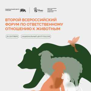 Стартовал приём заявок на Всероссийскую премию ответственного отношения к животным
