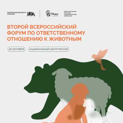 Стартовал приём заявок на Всероссийскую премию ответственного отношения к животным