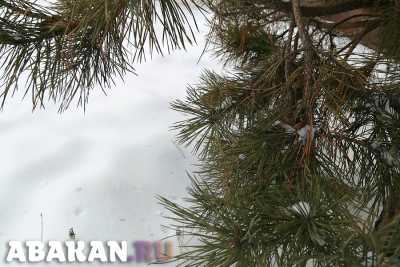 Снежно и ветрено: выходные в Хакасии