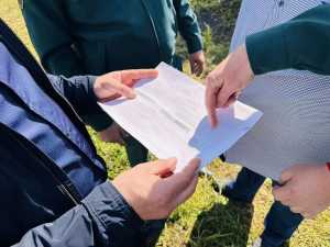 В Хакасии строят первый тепличный комплекс для хвойных пород