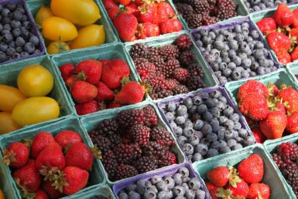 Как не испортить фруктово-ягодный сезон?