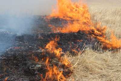 Километры степи горели в Хакасии