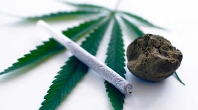 У жителя Абакана полицейскими изъято 471 грамм марихуаны