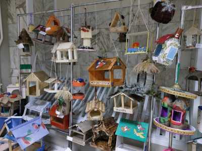 Столовую для птиц организовали в Абакане