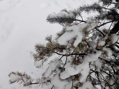 Снегопада не предвидится: прогноз по Хакасии на пятницу