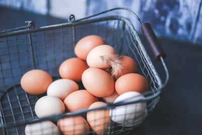 Яйца местного производителя порадуют приятной ценой