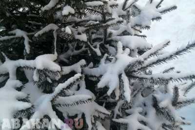 Зима отправит &quot;30-градусный привет&quot; жителям Хакасии