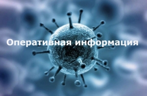Оперативная информация по заболеваемости коронавирусом в Хакасии на 24 ноября