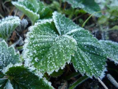 Опять похолодает: прогноз по Хакасии на вторник