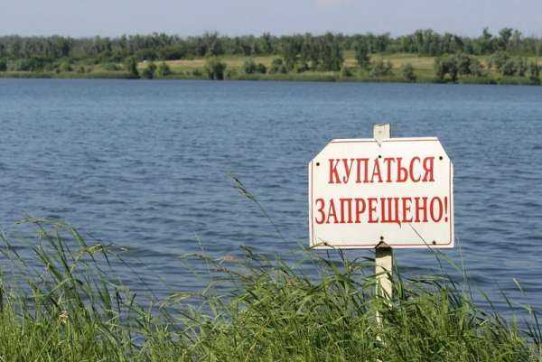 В Минусинске оштрафуют за купание в запрещенных местах