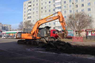 На улице Цукановой будут убирать аварийные деревья, на Торговой отключат контактную сеть